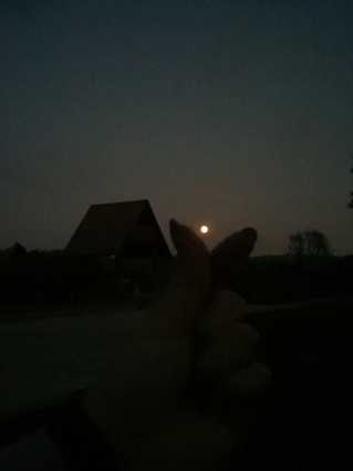 【前行】第134期：敬故乡一杯美酒  品别样乡愁