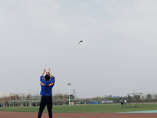 【完满班级】Fly loving kites——艺术传媒学院动画1801班放飞风筝比赛活动