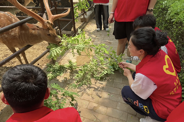 【三下乡】传承红色文化 延续农耕火种——大数据学院、信息工程学院乡村振兴实践团