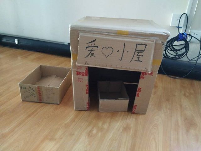 【完满班级】爱心相连 超越无限——食品与环境学院动医1803班完满班级活动