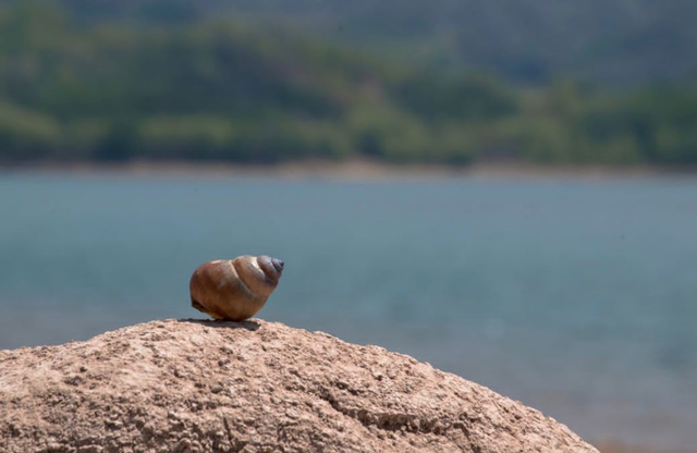 前行第170期:用光影捕捉瞬间 用心灵发现美好