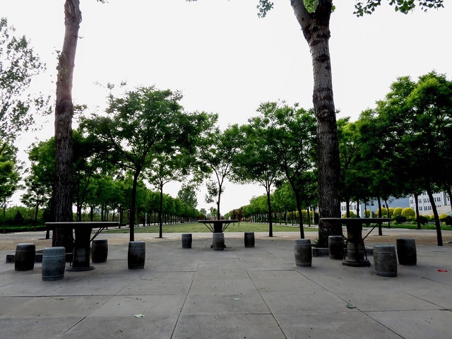 【完满班级】时光荏苒 毕业快乐——淬炼商学院六月完满班级主题活动（四十）