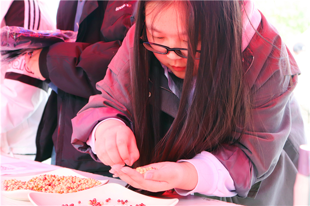 前行第182期：让无意义被“自定义” 寻迹趣味浮生中的“快乐”真谛