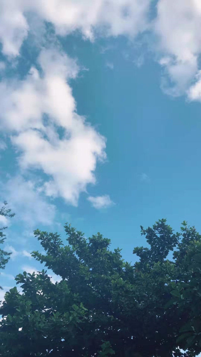 【完满班级】疫情就是命令——外国语言文学系英语1803班2月完满班级活动