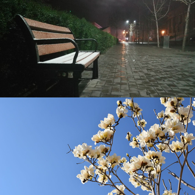 【完满班级】品一番风景芳华 护公益绿意盎然——经济与管理学院物流1603班、国贸1602班完满班级活动