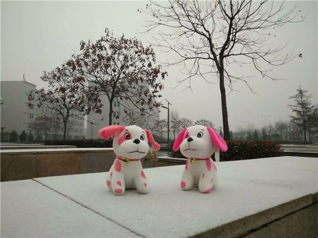 【前行】第75期:信院初雪 如果不打伞 是不是可以一路走到白头
