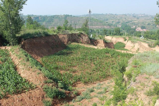 【三下乡】蓦然回首 听一则田园故事 看一片风轻云淡——远景学院“三下乡”暑期社会实践活动(三)