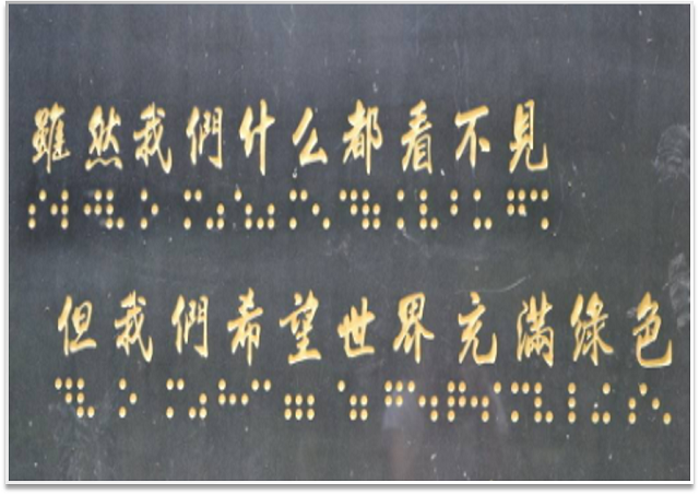 志愿之星•杨博：怀揣青春梦想 书写志愿人生