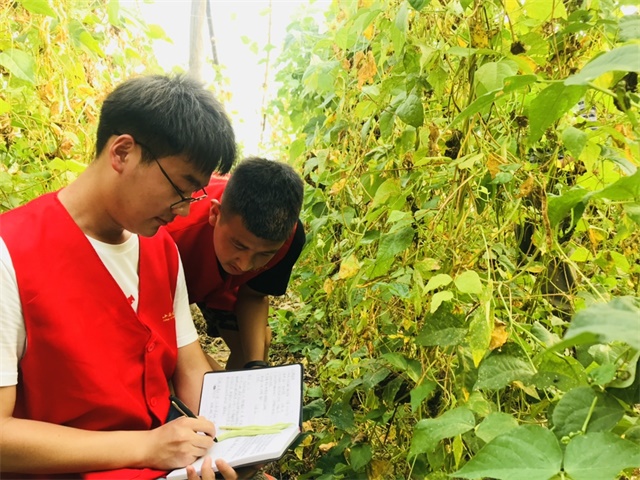 【三下乡】百业农为先 躬行阡陌间——智能工程学院“机时予”象谷村志愿服务