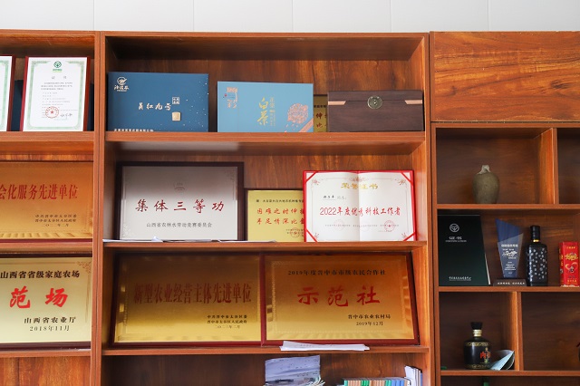 【三下乡】Follow me！带你揭秘长在空中的“彩虹”西瓜——大数据学院、信息工程学院“智·惠农”太谷农高区产业振兴实践团