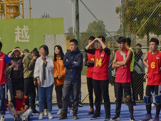 热血沸腾 激情排球