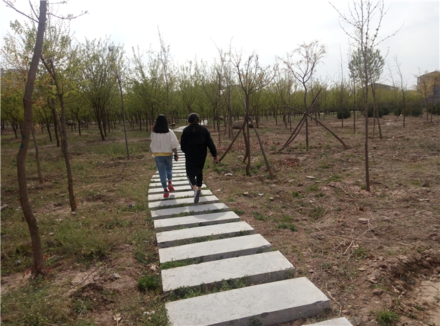 【完满班级】重活力提升 汇青春力量——淬炼商学院四月完满班级主题活动（二十一）