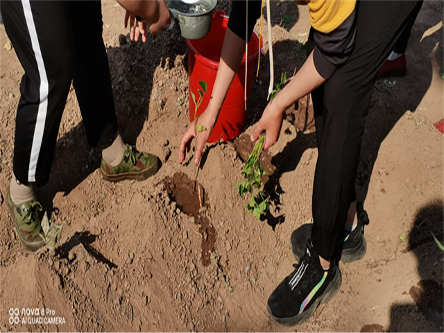 【信院农场】农耕项目第2期:初夏时节 耕植方圃 不亦乐乎