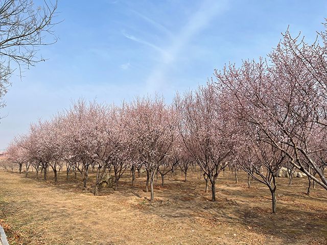 【完满班级】定格青春校园 珍藏美好年华——艺术传媒学院产品设计1801班举办“光影校园”摄影大赛完满班级活动