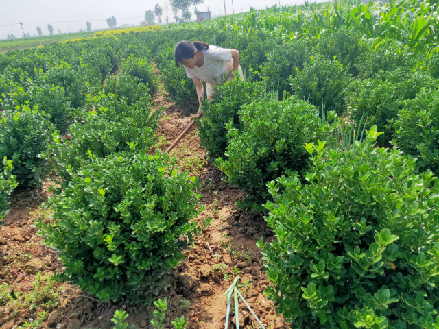 【暑期社会实践】在实践中寻找大学生的初心与使命