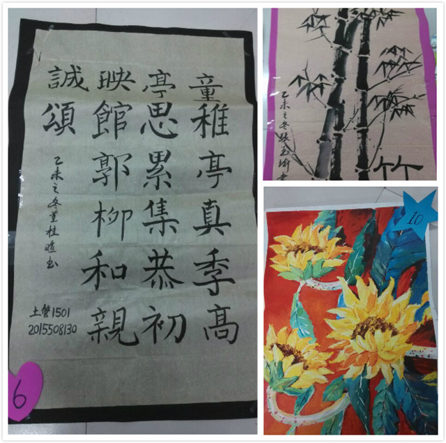 环科系“书情画意”宣传风采月活动顺利开展