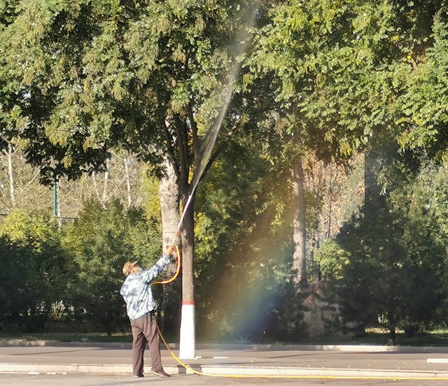 【完满班级】校园一角 摄影交流——数字1802班完满班级