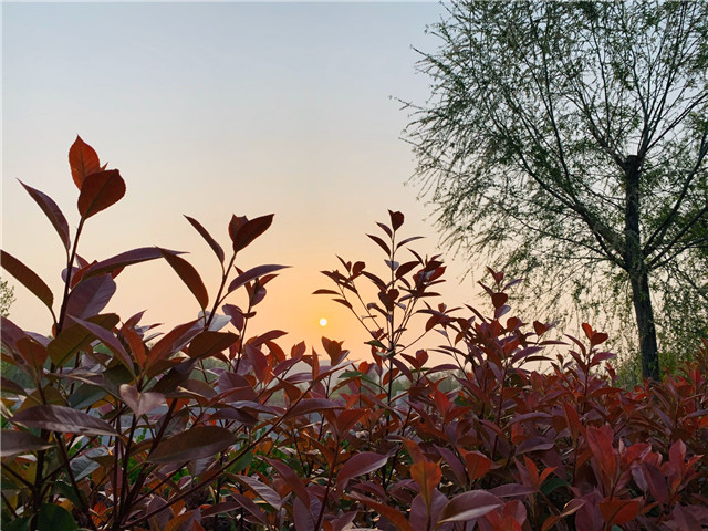 【完满班级】展现风采,靓出创新——外国语言文学系英语1802班、英语1805班4月完满班级活动
