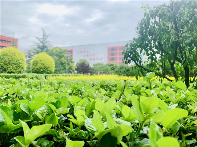 专访舞者张鑫磊 郭华 王浩志:“我们代表信院街舞出战!”