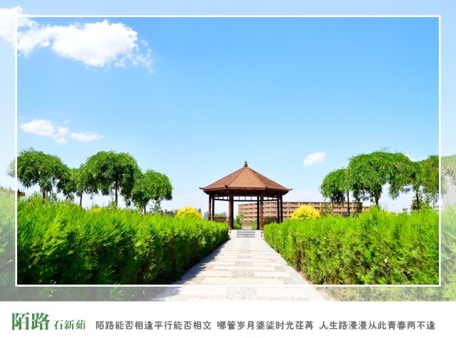 三行诗 校园文学作品中的诗和远方——寄情以墨作品收录站优秀作品展(一)