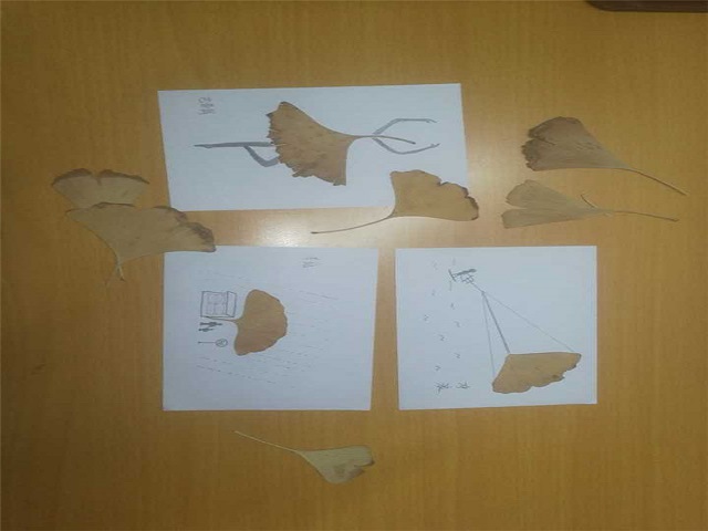 【完满班级】淬炼商学院12月完满班级主题活动回顾(十七)