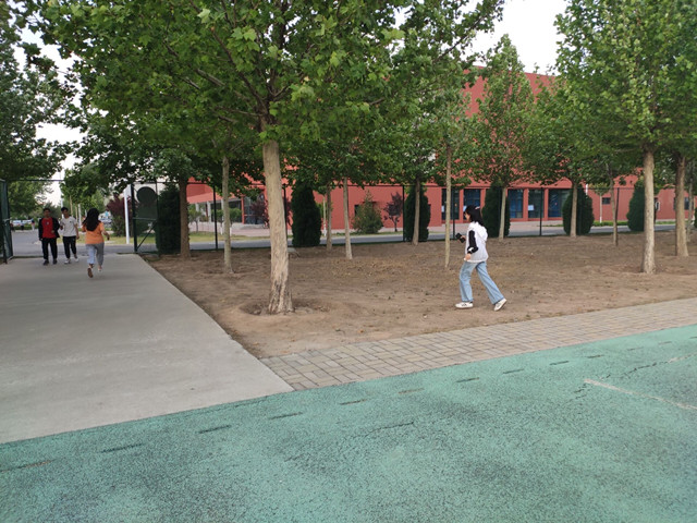 【完满班级】青春飞扬 活力无限——信息工程学院计科1904班完满班级活动