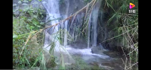 【完满班级】激情六月 游玩观景 ——食品与环境学院生技1901班完满班级活动
