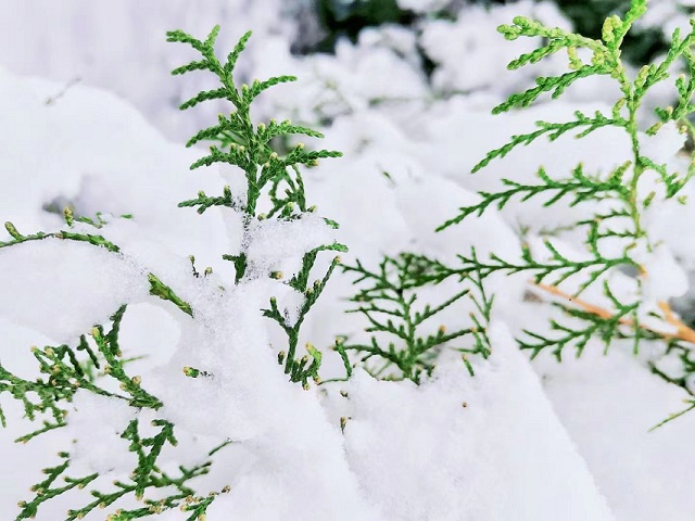 【前行】以初雪之名,赏深秋之景