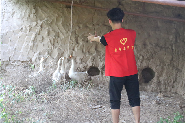 【三下乡】走进山庄 给你一份清凉——一轮烈日 一群探秘小可爱