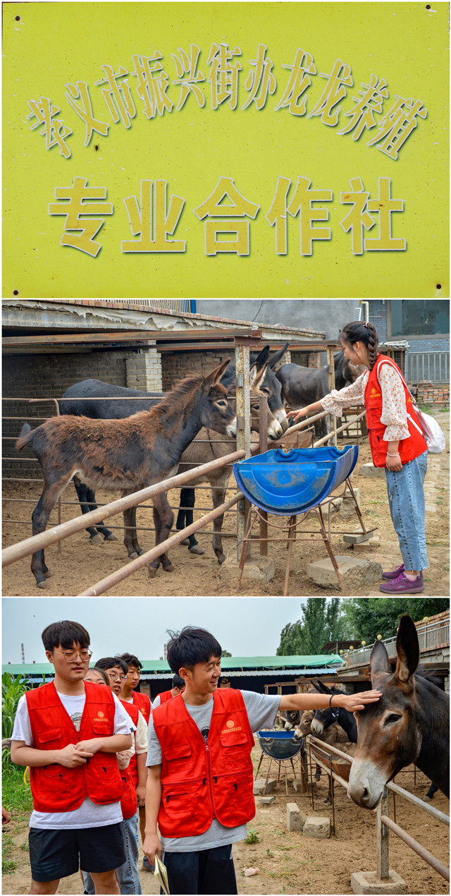 探东庄跨越式经济转型 寻乡村多元化发展之路