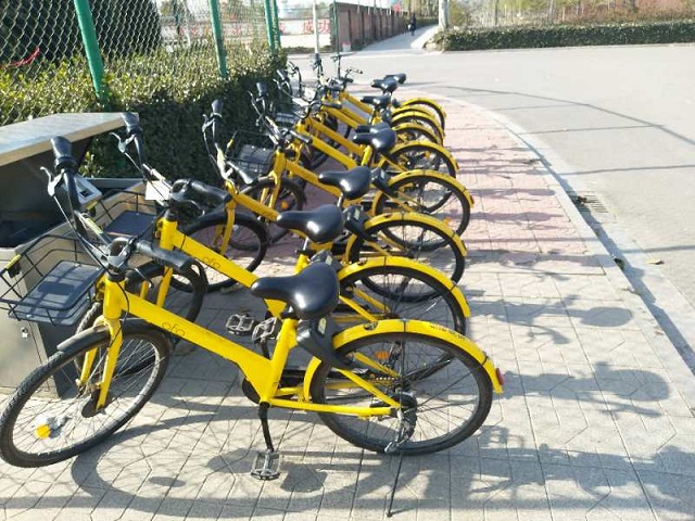 【完满班级】远景1703“善”行青春 亲春有为