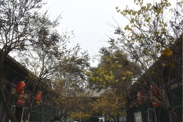 【完满班级】品茗繁华古韵 弘扬民族自信——经济管理系区域1601班11月完满班级活动