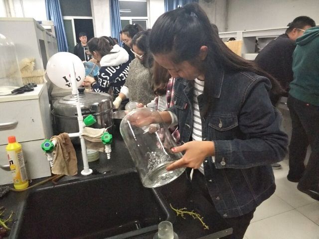 【完满班级】“爱拼才会赢”食品大师风范——食品与环境学院食安1504班完满班级活动