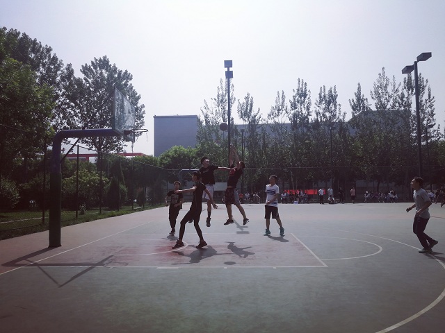 【完满班级】志同道合 亲密无间——食品与环境学院动医1701班举办完满班级活动