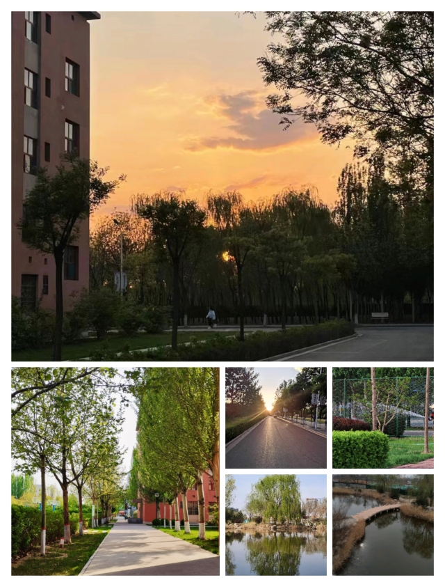 【完满班级】不负时光 共寻美好——经济与管理学院四月完满班级纪实(八)