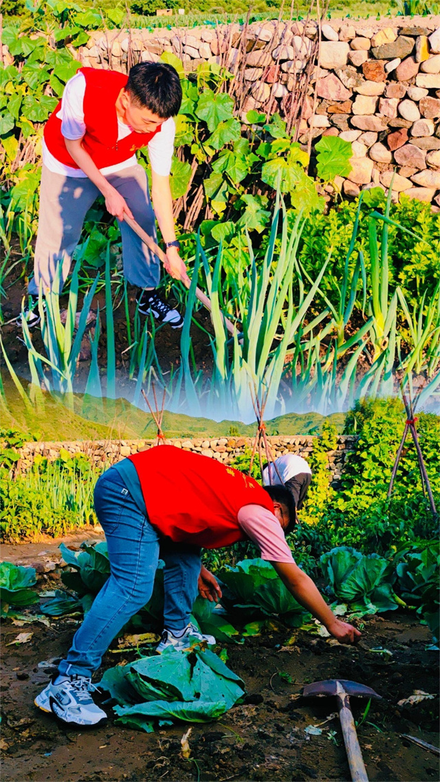 【三下乡】弘扬劳动教育 务实而有温度