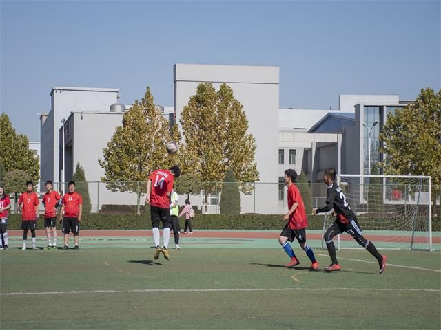 精力充沛 激情似火——第三届“新生杯”足球联赛