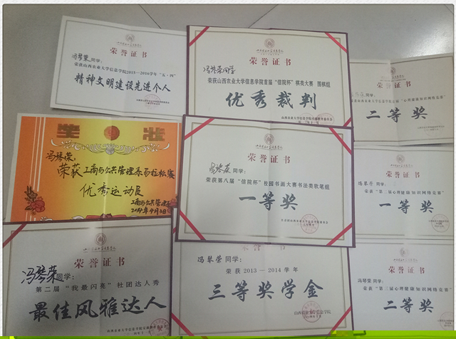 闪光的信院第150期:风韵书法 纵“琴”领略——冯琴荣
