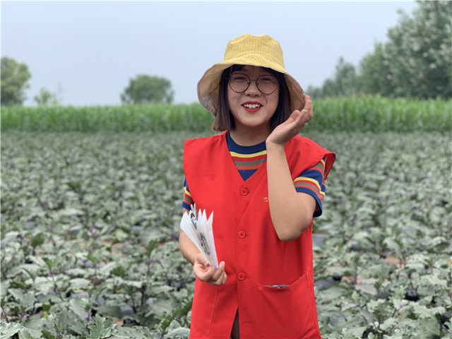 志愿之星•王丽:用三年的时间 去做一件终身有意义的事情