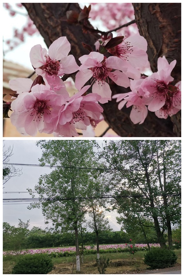 书院青春工作坊第4期:主宰时代潮流 彰显青春色彩