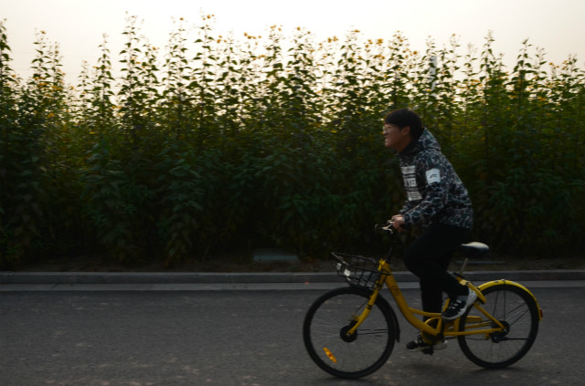 【完满班级】团结奋进 誓争第一——淬炼商学院十月完满班级主题活动（四十二）