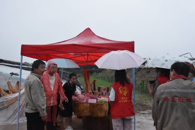 【三下乡】振兴白燕 燃梦起航——食品与环境学院“青风环箕”乡村振兴实践团三下乡