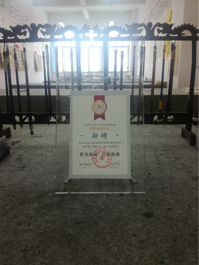 闪光的信院第238期:执笔挥墨 创造“琦”迹