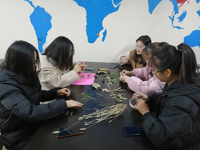 【完满班级】以叶传情,平分秋色——大数据学院、信息工程学院数字1901班完满班级