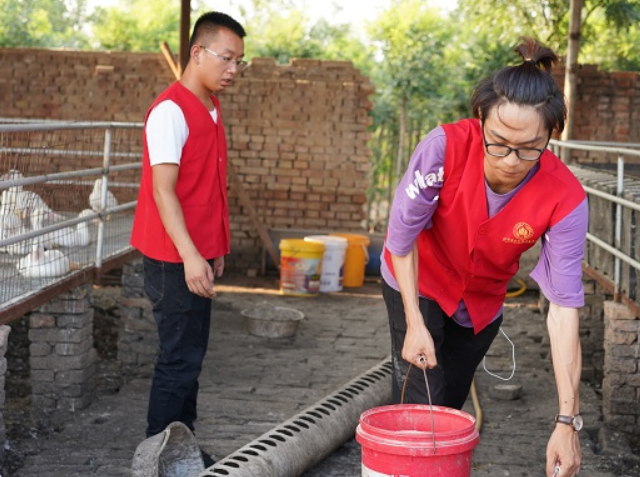 【三下乡】振兴乡村绿化养殖建设发展
