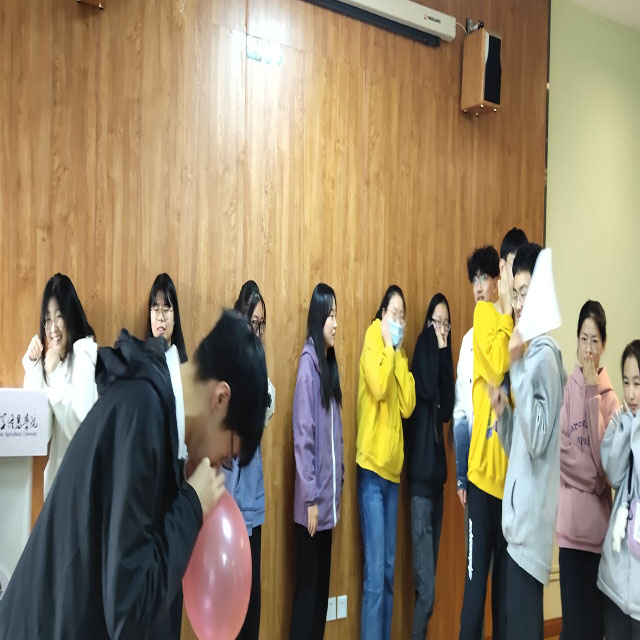 【完满班级】“脑力大挑战”——数字2001班完满班级活动