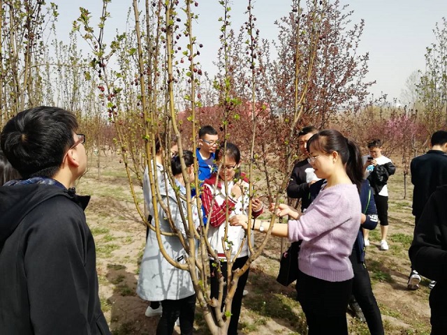 【完满班级】汇力凝神 完满园艺——食环院园艺1601班举办农作物鉴赏会完满班级活动