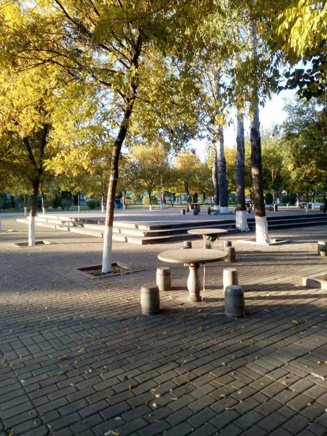 【完满班级】淬炼商学院10月完满班级主题活动回顾（十六）