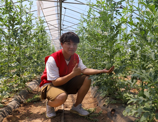 【三下乡】Follow me！带你揭秘长在空中的“彩虹”西瓜——大数据学院、信息工程学院“智·惠农”太谷农高区产业振兴实践团