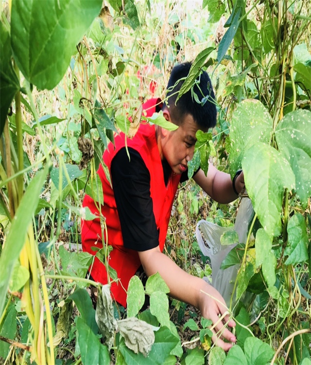【三下乡】百业农为先 躬行阡陌间——智能工程学院“机时予”象谷村志愿服务